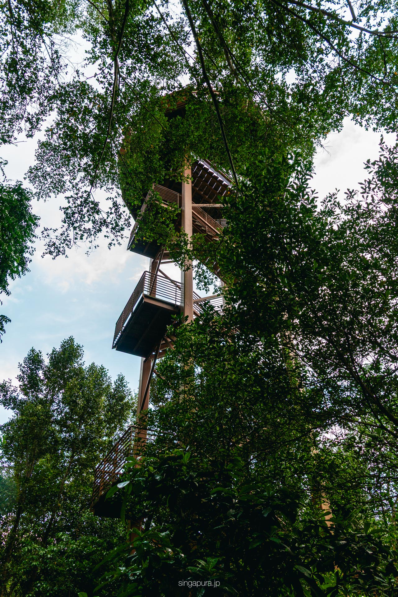 ウビン島 Pulau Ubin 画像22
