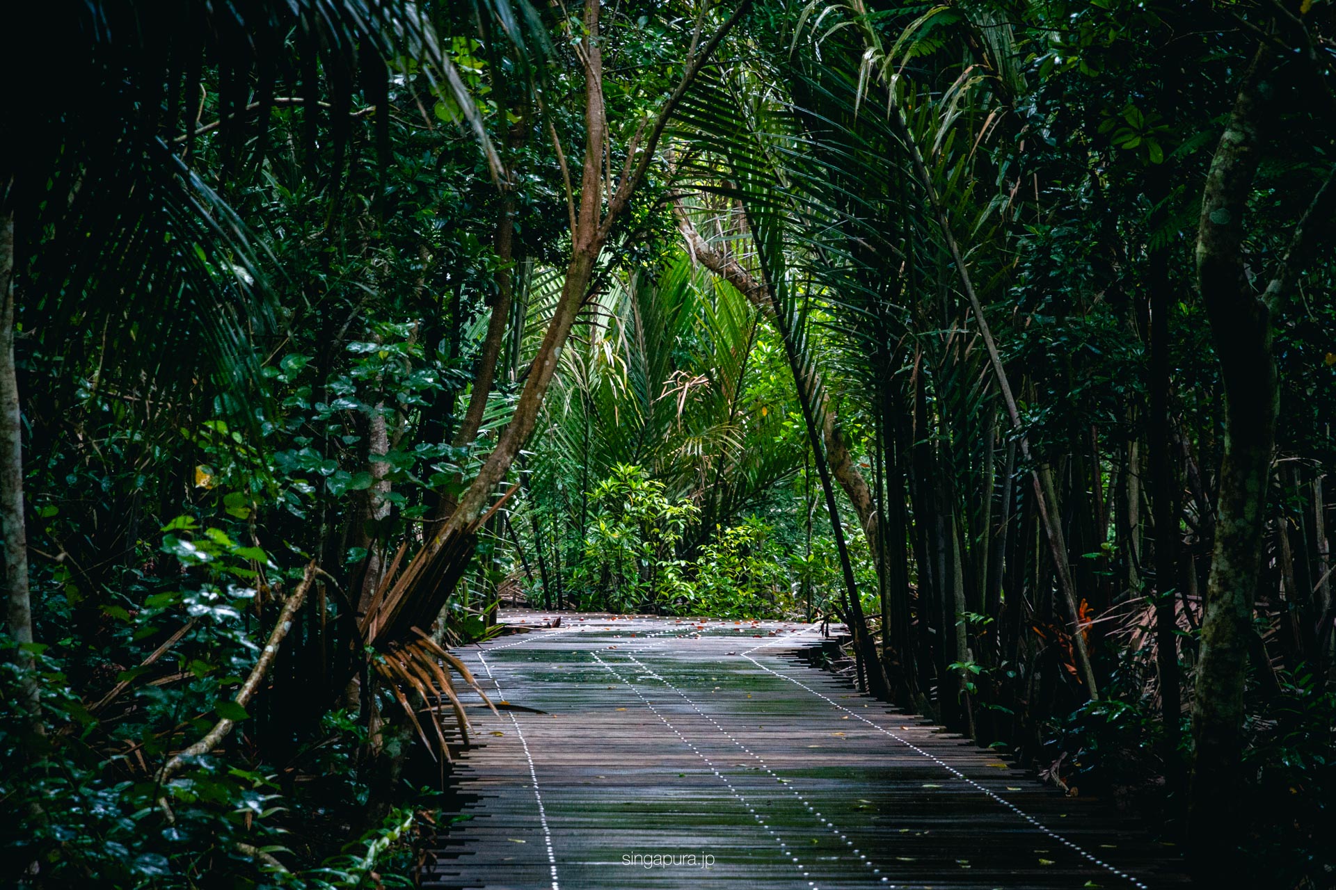 ウビン島 Pulau Ubin 画像25