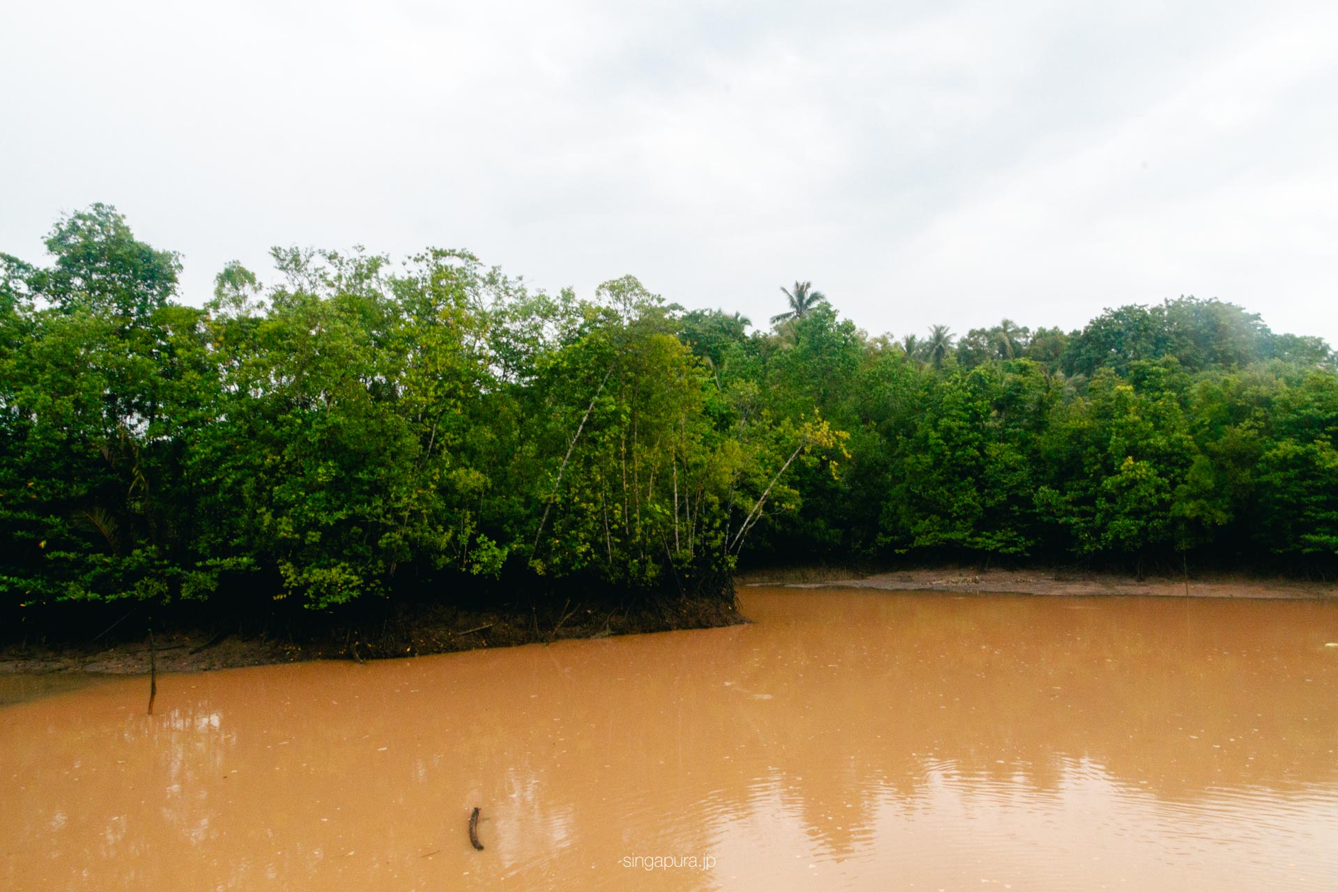 ウビン島 Pulau Ubin 画像28