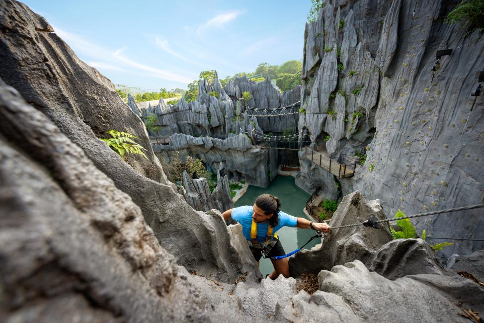 レインフォレスト・ワイルド・アジア Rainforest Wild ASIA 画像2