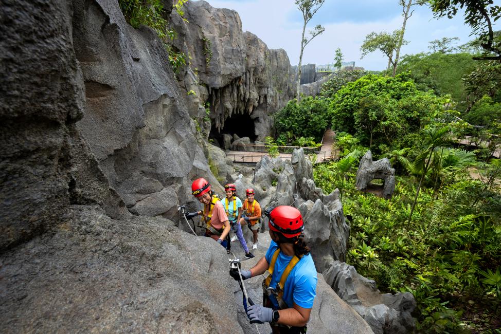 レインフォレスト・ワイルド・アジア Rainforest Wild ASIA 画像4