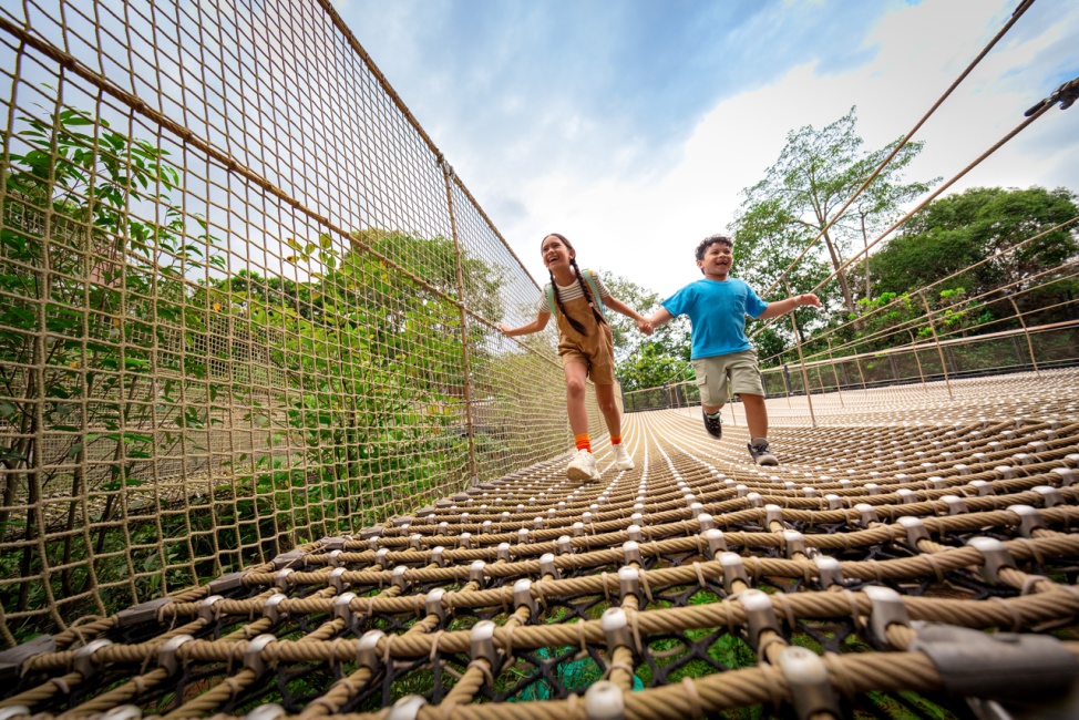 レインフォレスト・ワイルド・アジア Rainforest Wild ASIA 画像5