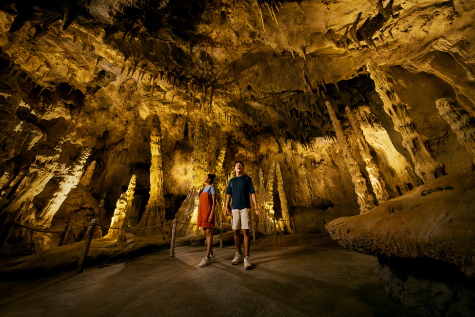 レインフォレスト・ワイルド・アジア Rainforest Wild ASIA 画像9