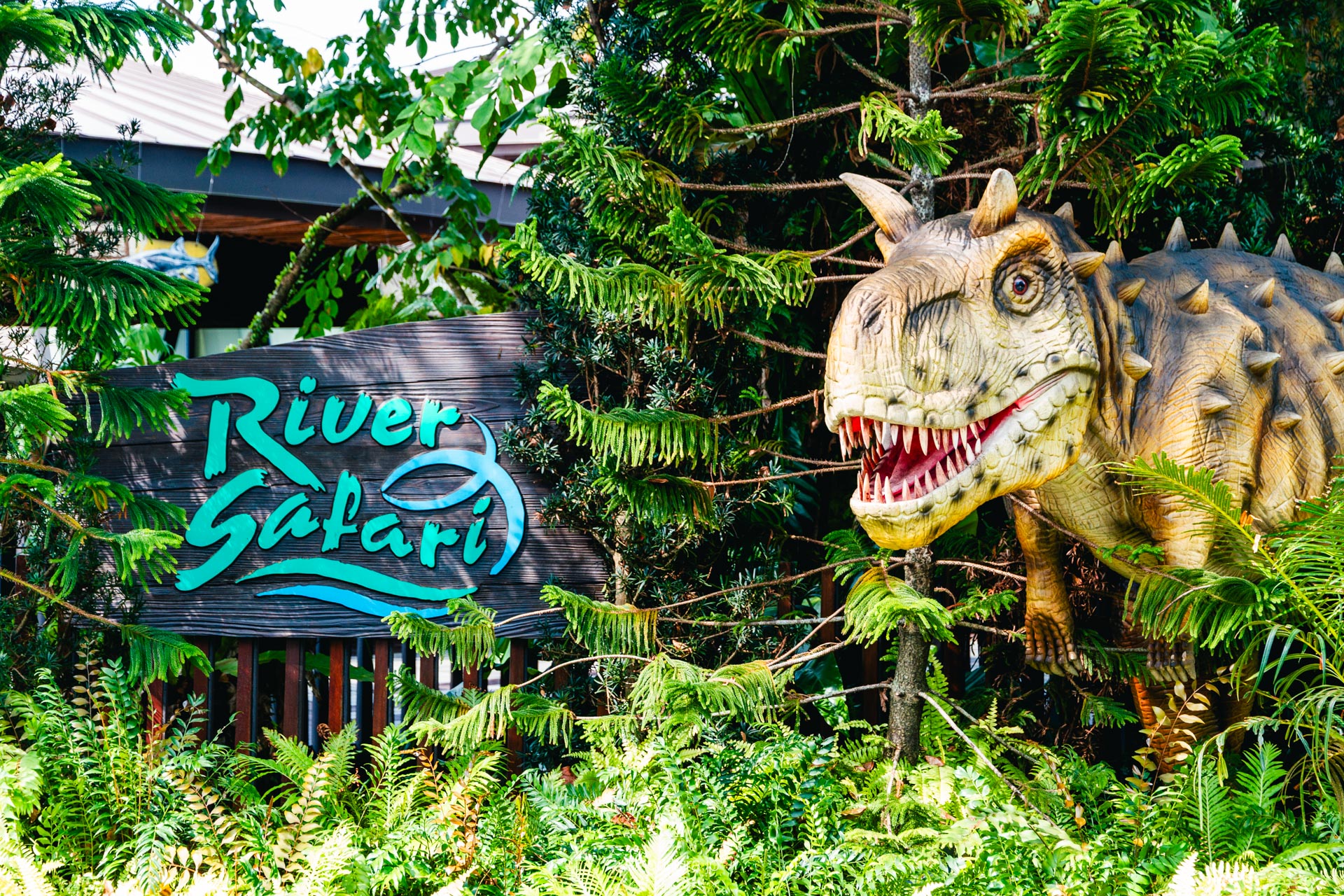 リバー・ワンダーズ River Wonders 画像2