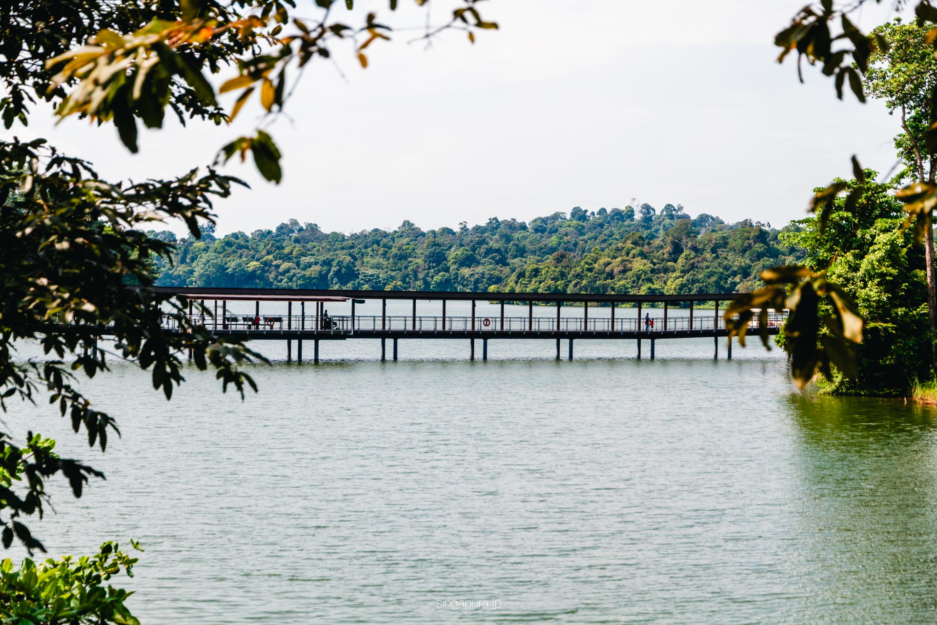 リバー・ワンダーズ River Wonders 画像5