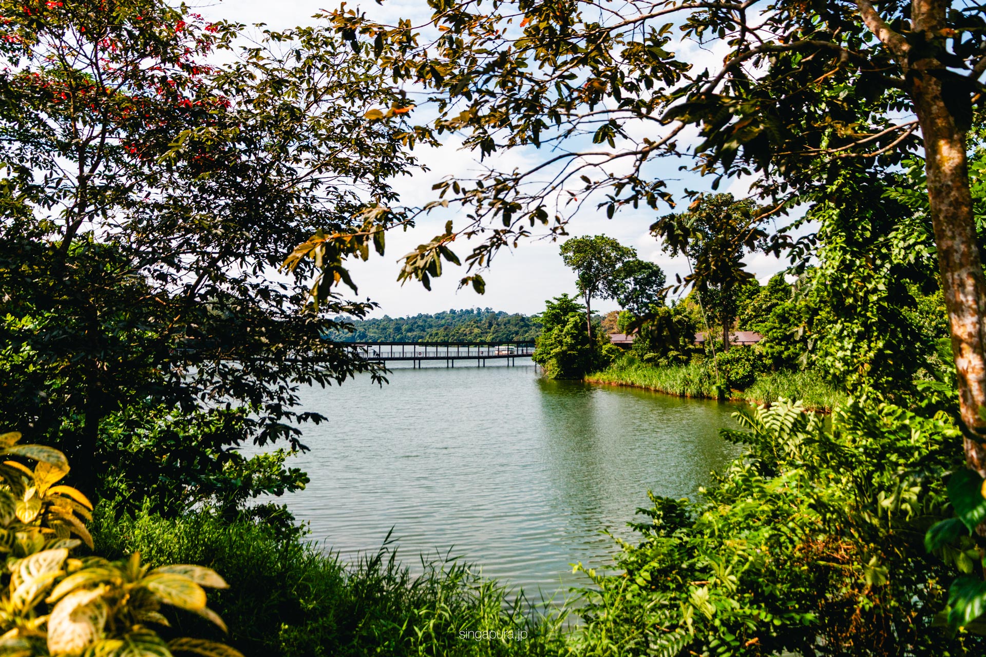 リバー・ワンダーズ River Wonders 画像6