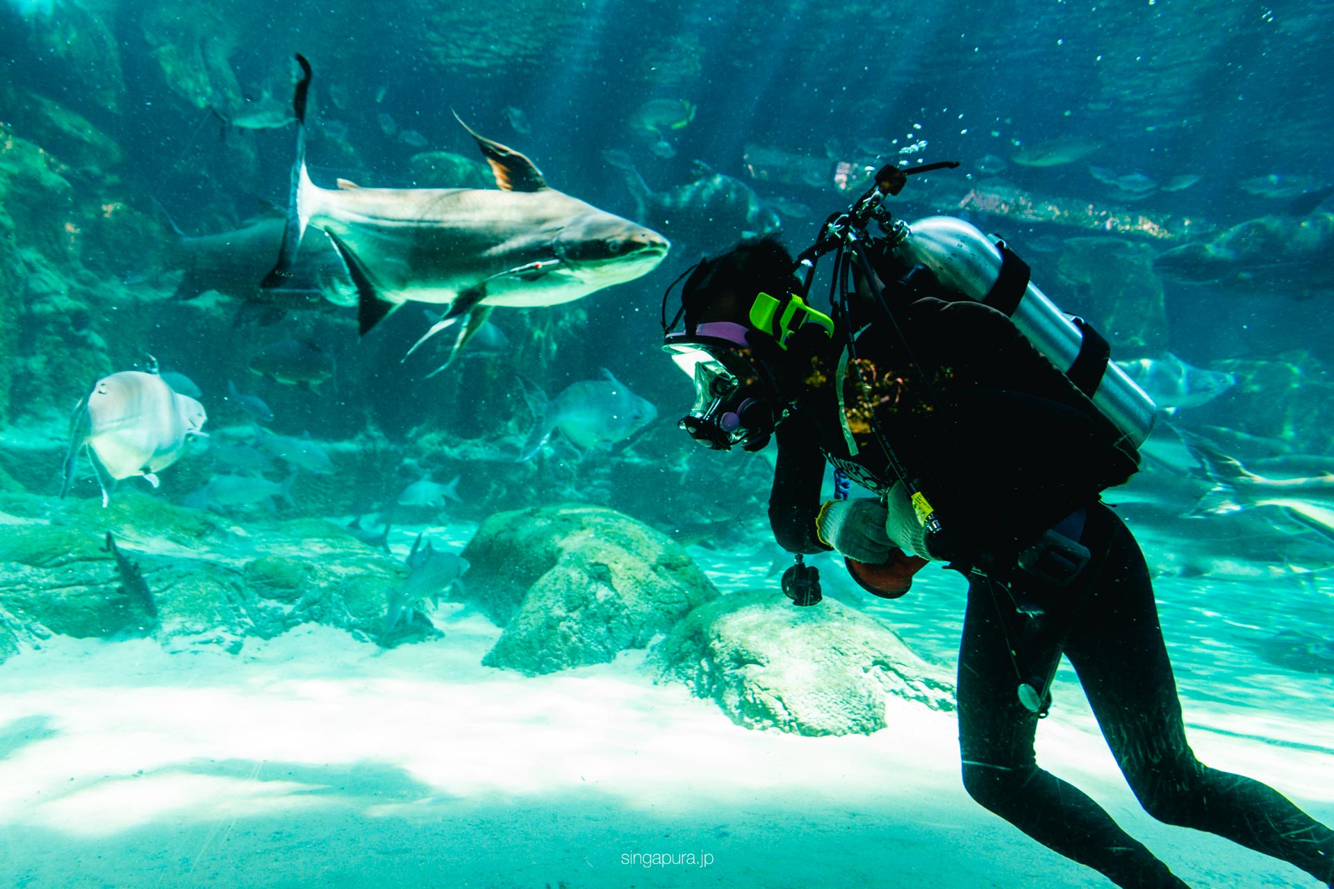 リバー・ワンダーズ River Wonders 画像9