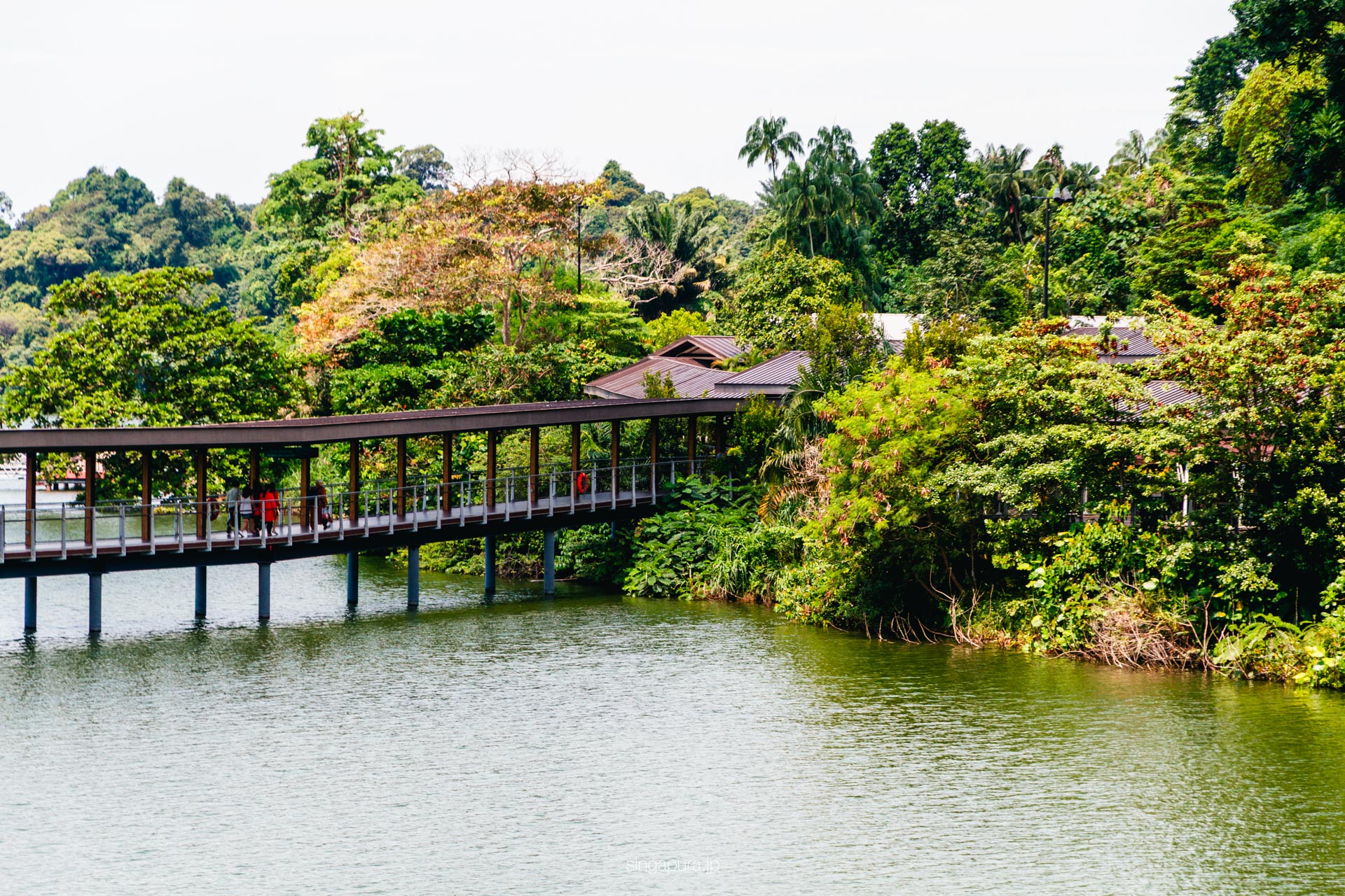 リバー・ワンダーズ River Wonders 画像11