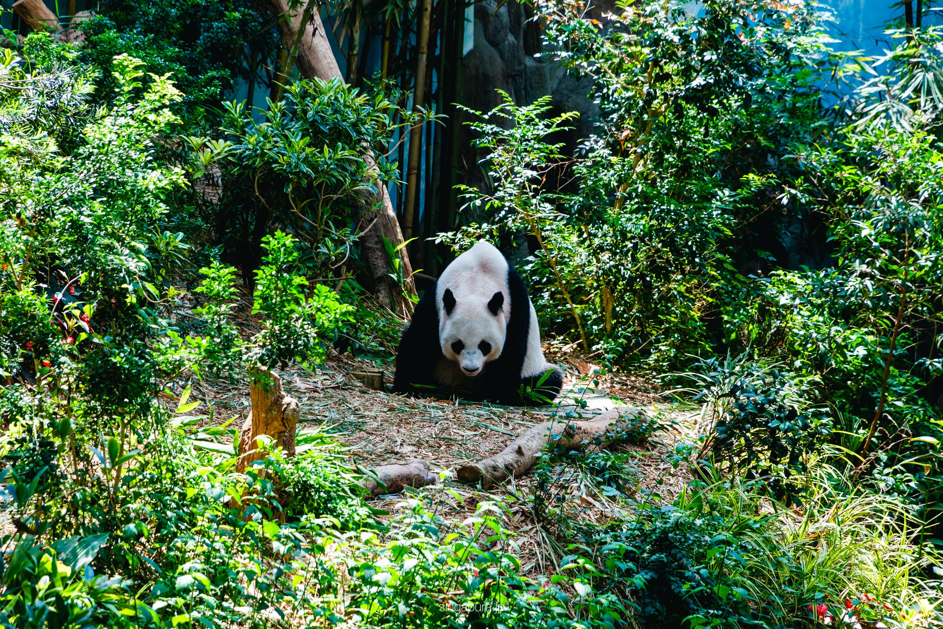 リバー・ワンダーズ River Wonders 画像12