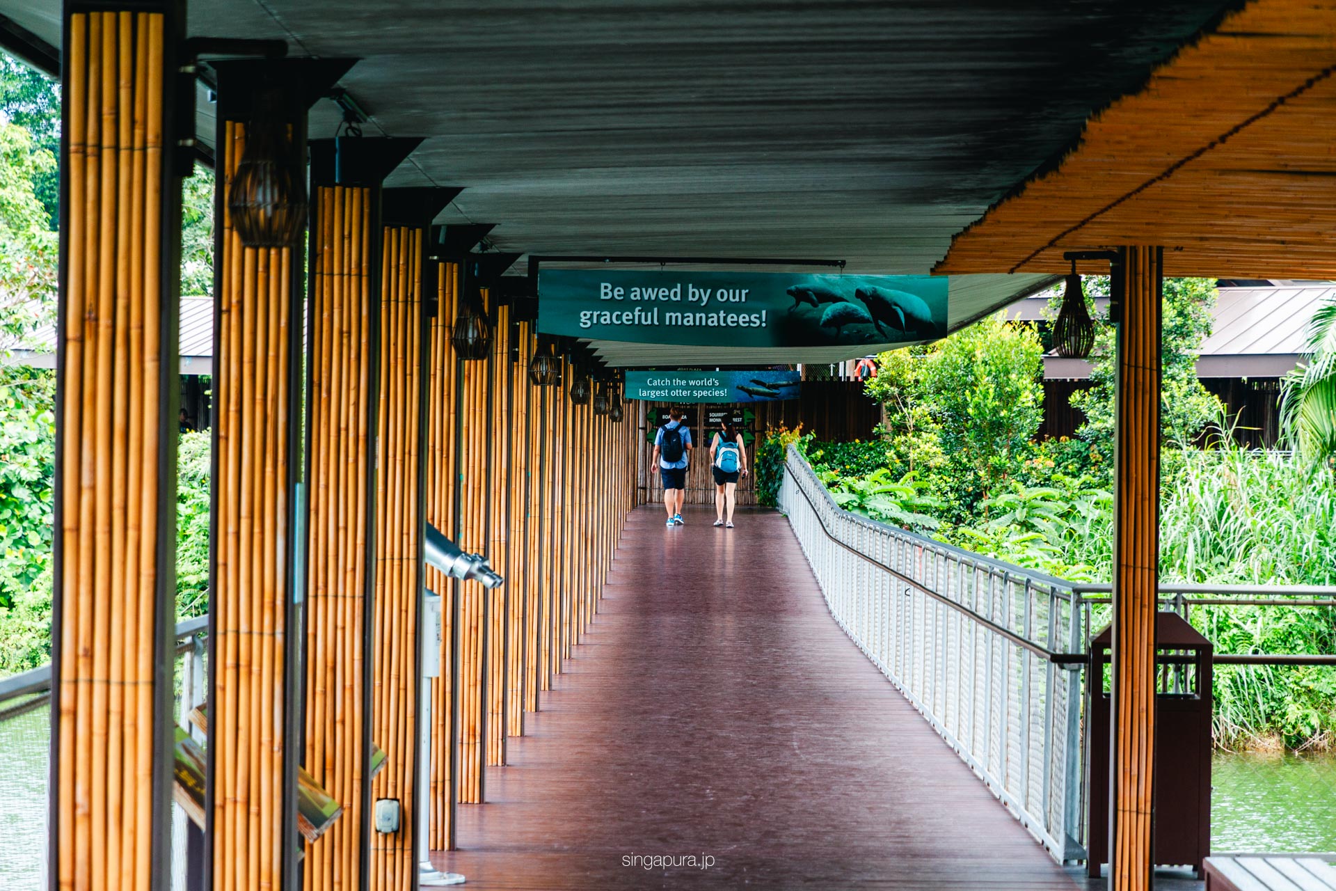 リバー・ワンダーズ River Wonders 画像16