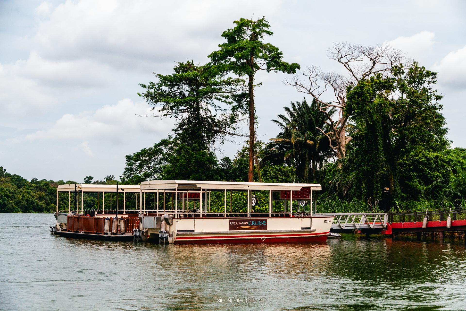 リバー・ワンダーズ River Wonders 画像17