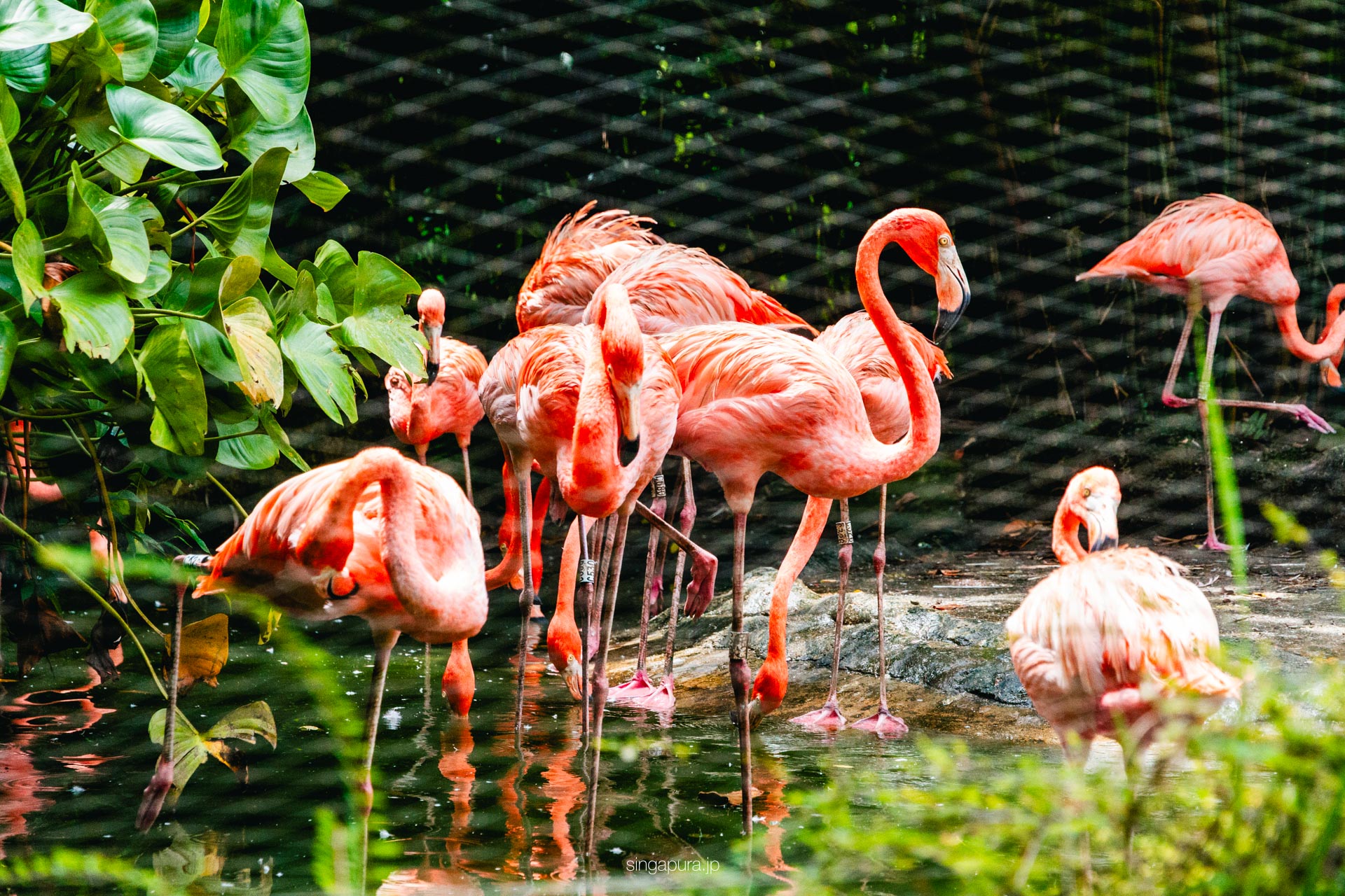 リバー・ワンダーズ River Wonders 画像18