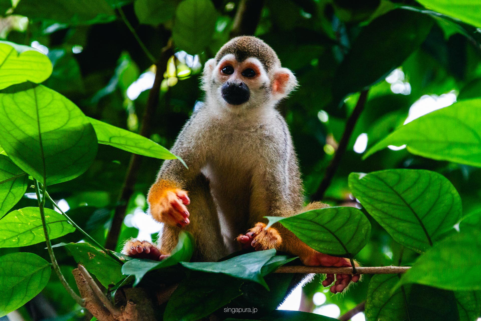 リバー・ワンダーズ River Wonders 画像22