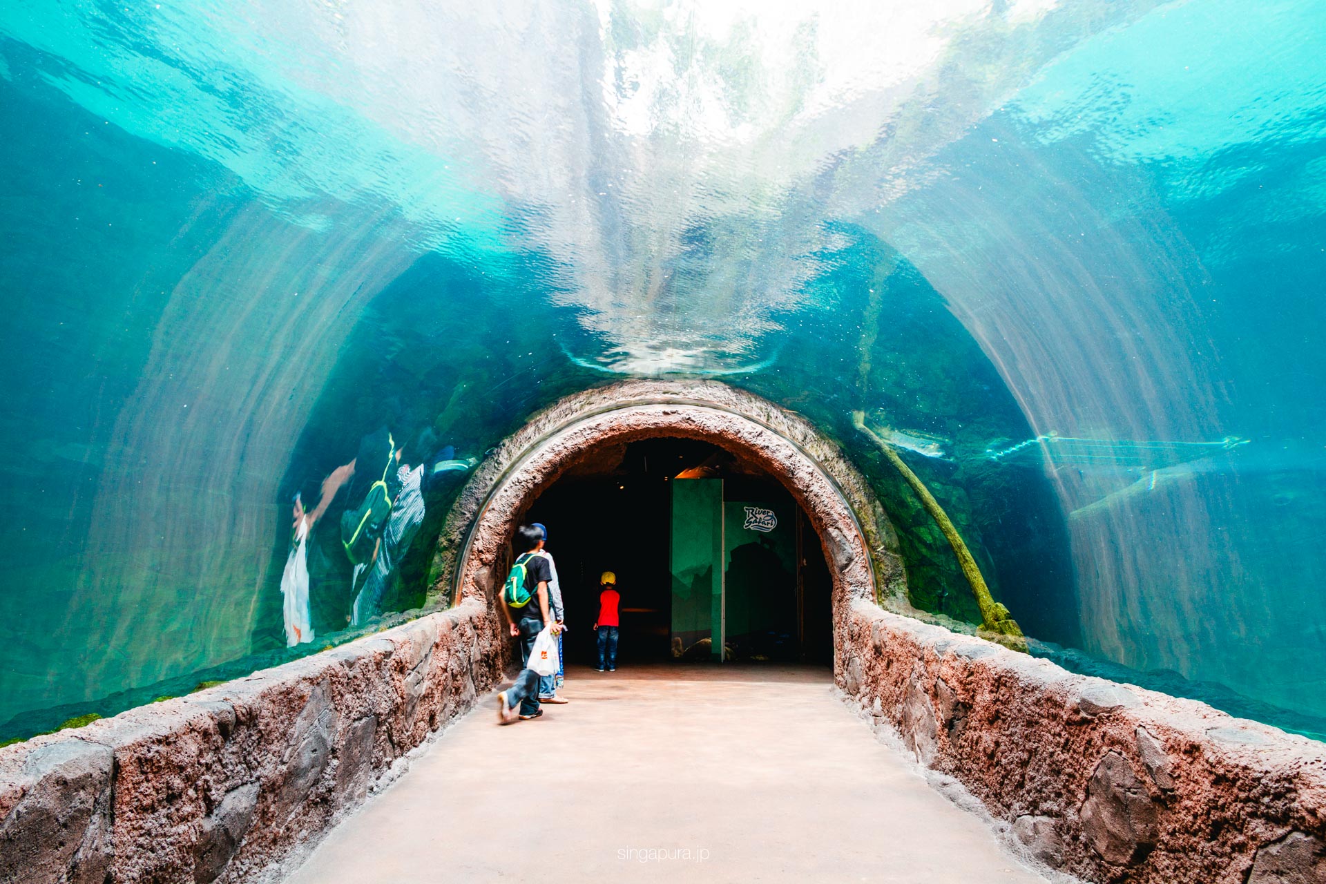 リバー・ワンダーズ River Wonders 画像23