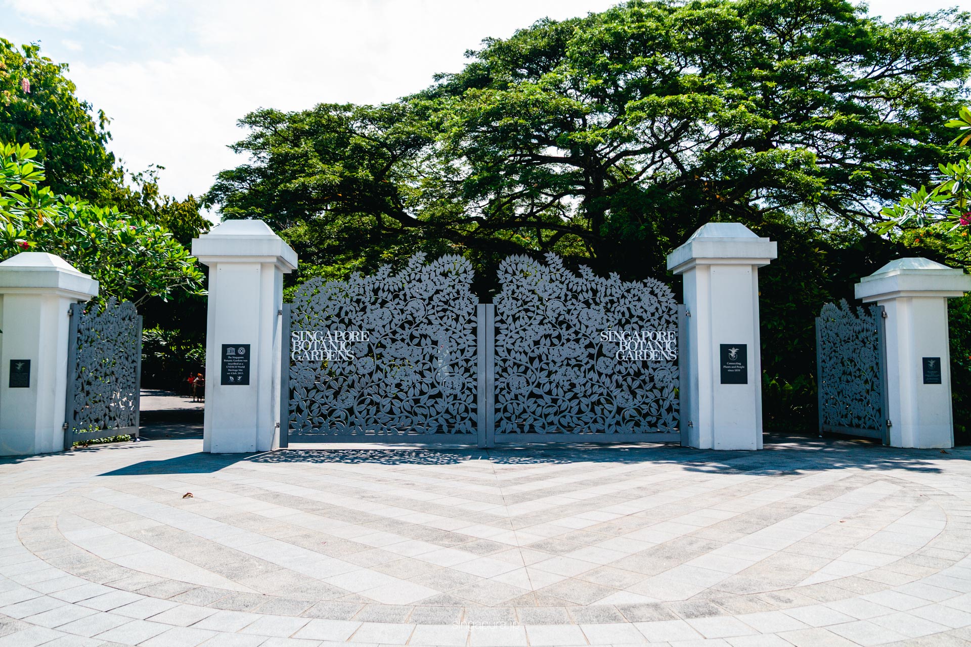 シンガポール植物園 Singapore Botanic Gardens 画像2
