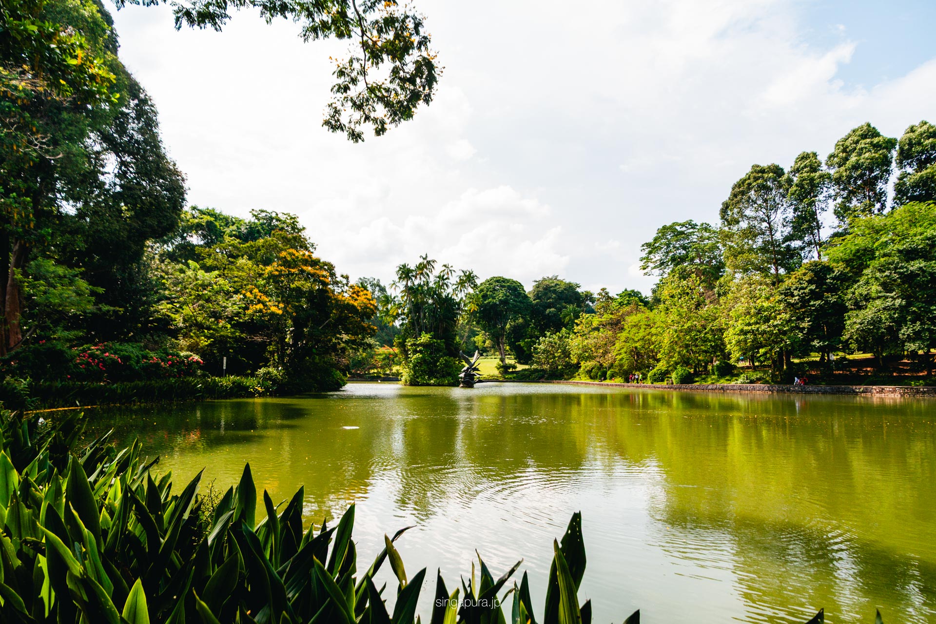 シンガポール植物園 Singapore Botanic Gardens 画像4