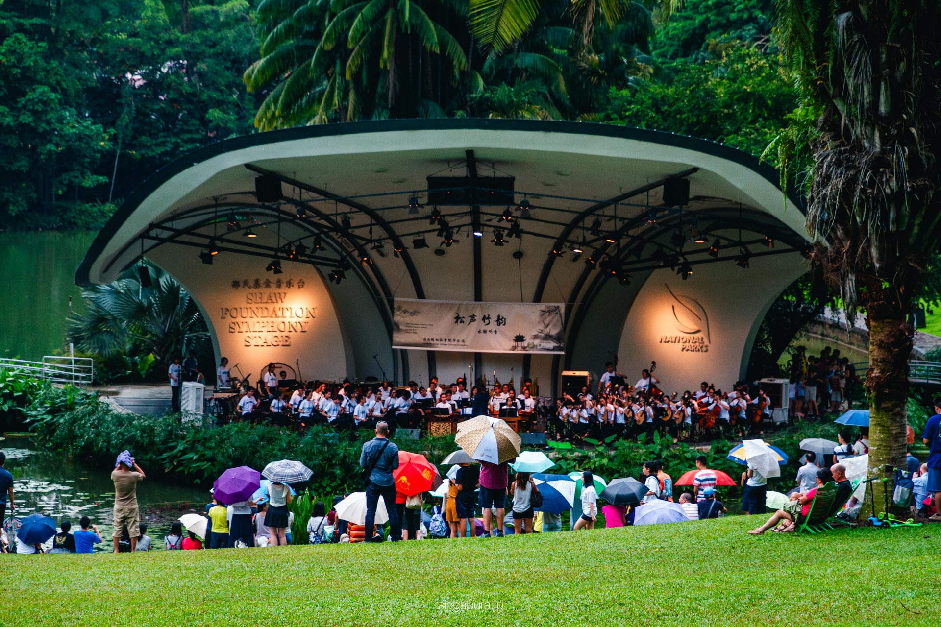 シンガポール植物園 Singapore Botanic Gardens 画像7
