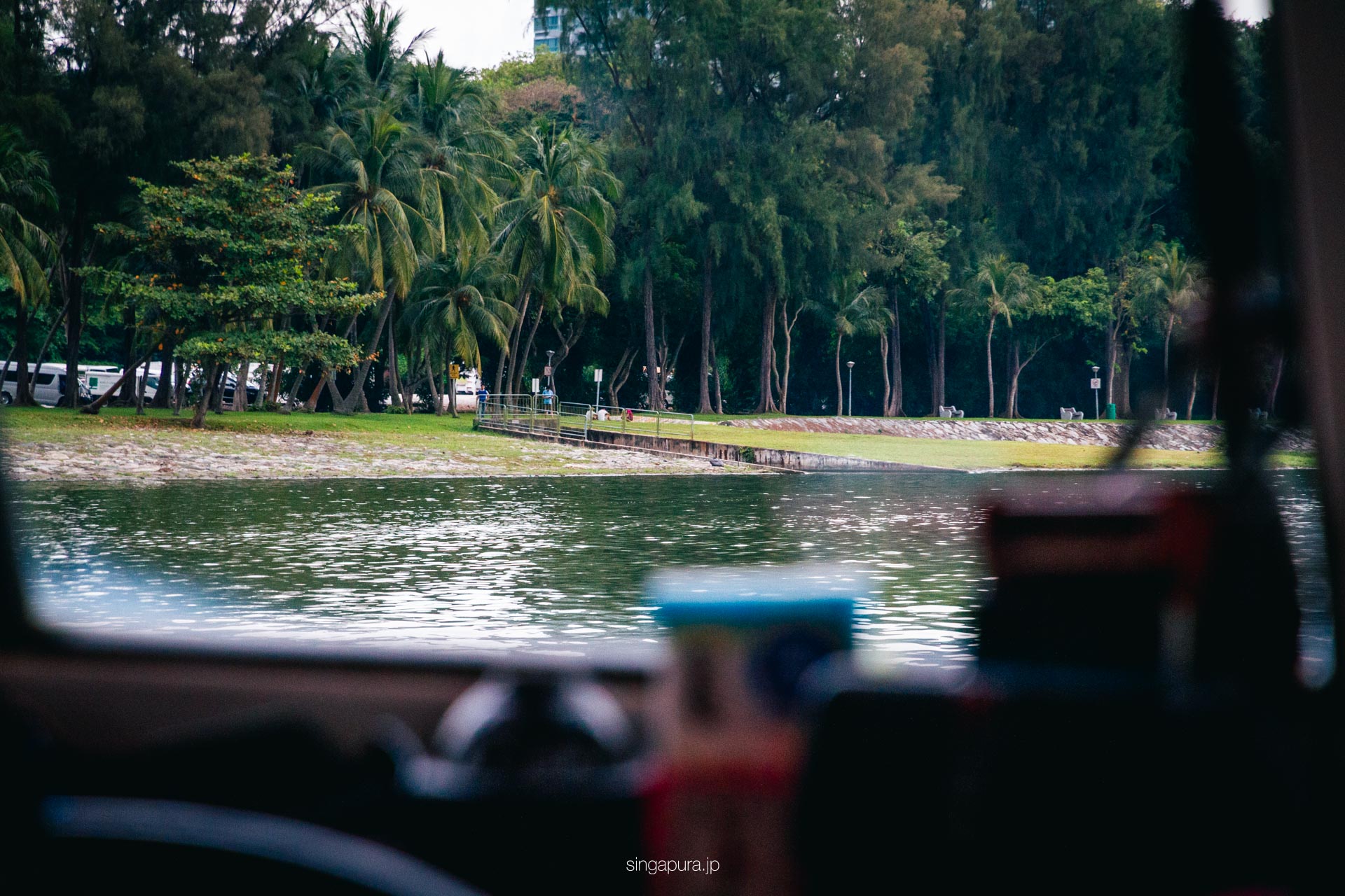 シンガポール・ダックツアー DUCKtours Singapore DuckTours 画像4