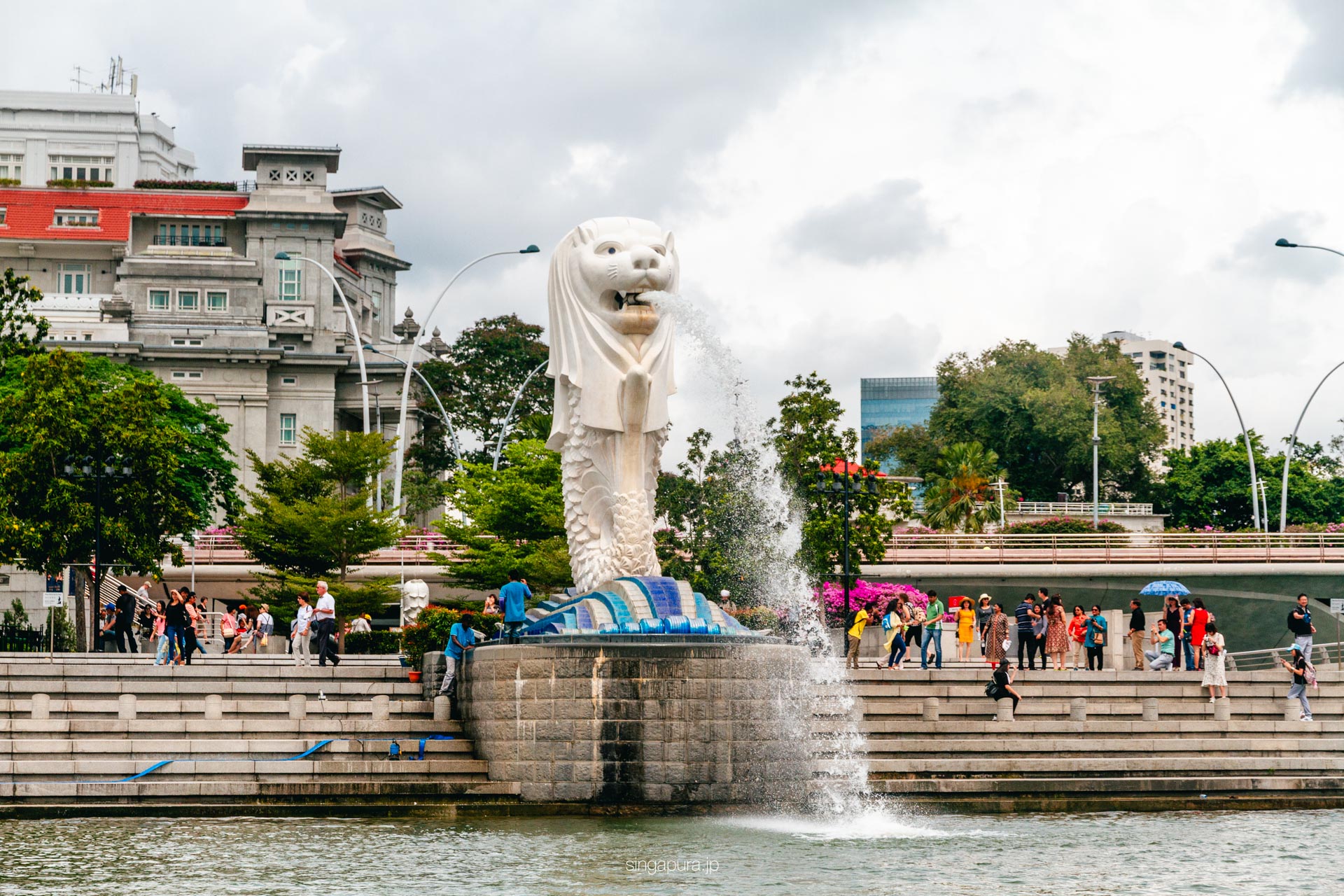シンガポール・ダックツアー DUCKtours Singapore DuckTours 画像5