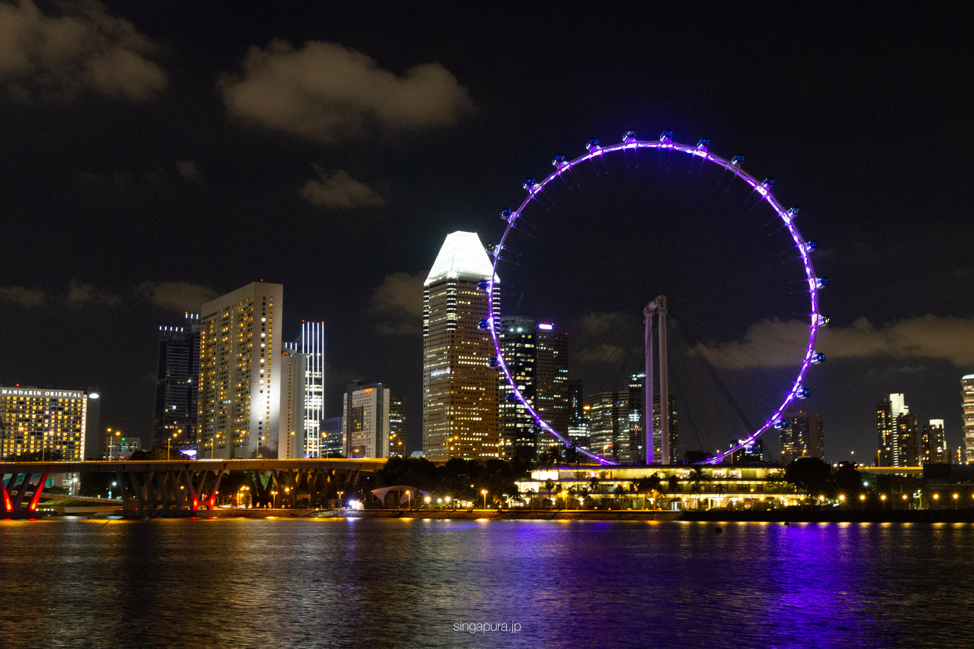シンガポール・フライヤー Singapore Flyer 画像1