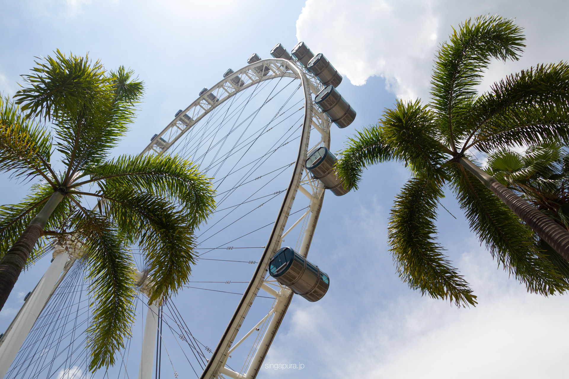シンガポール・フライヤー Singapore Flyer 画像2
