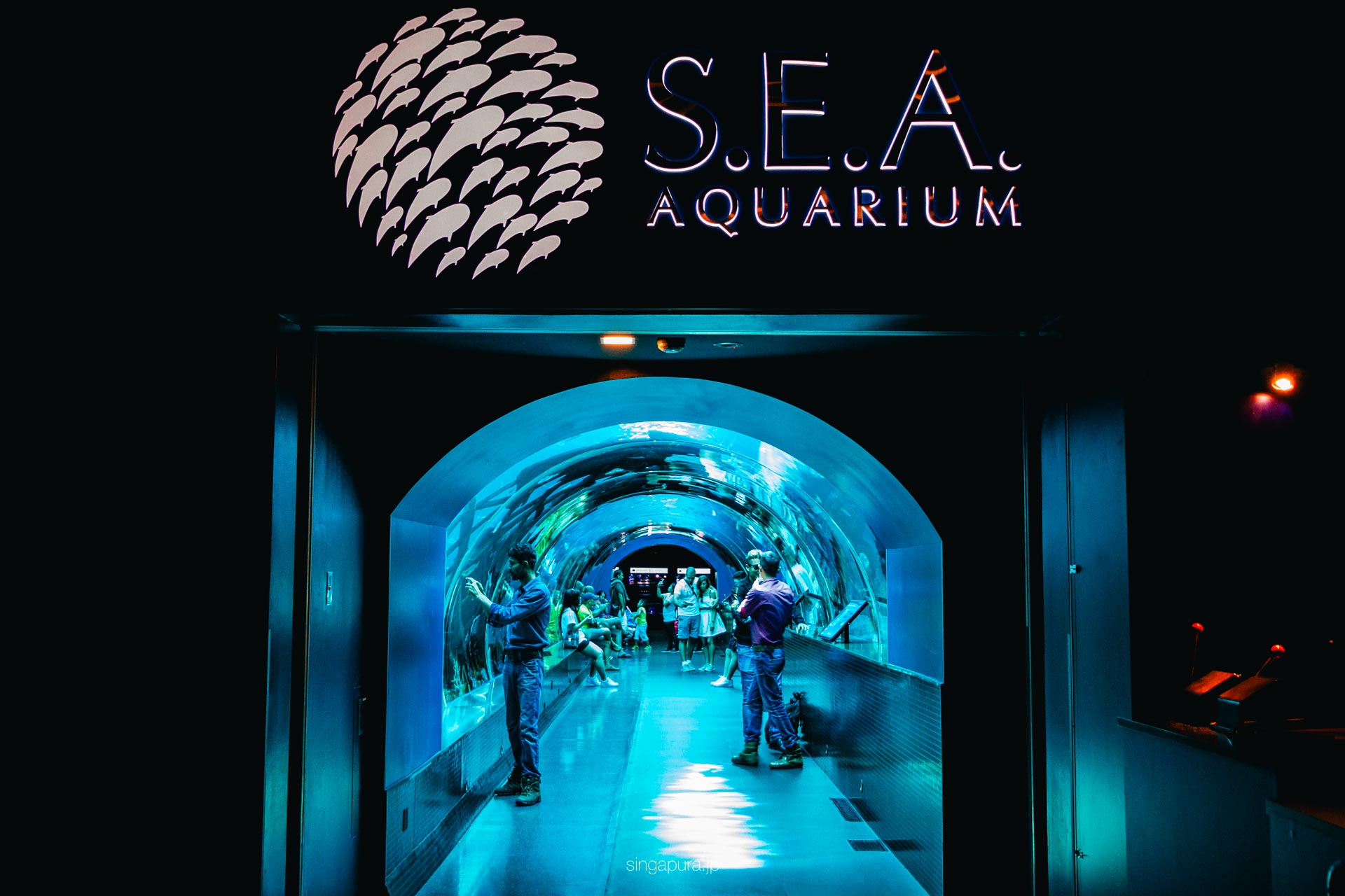 シンガポール・オーシャナリウム Singapore Oceanarium 画像6