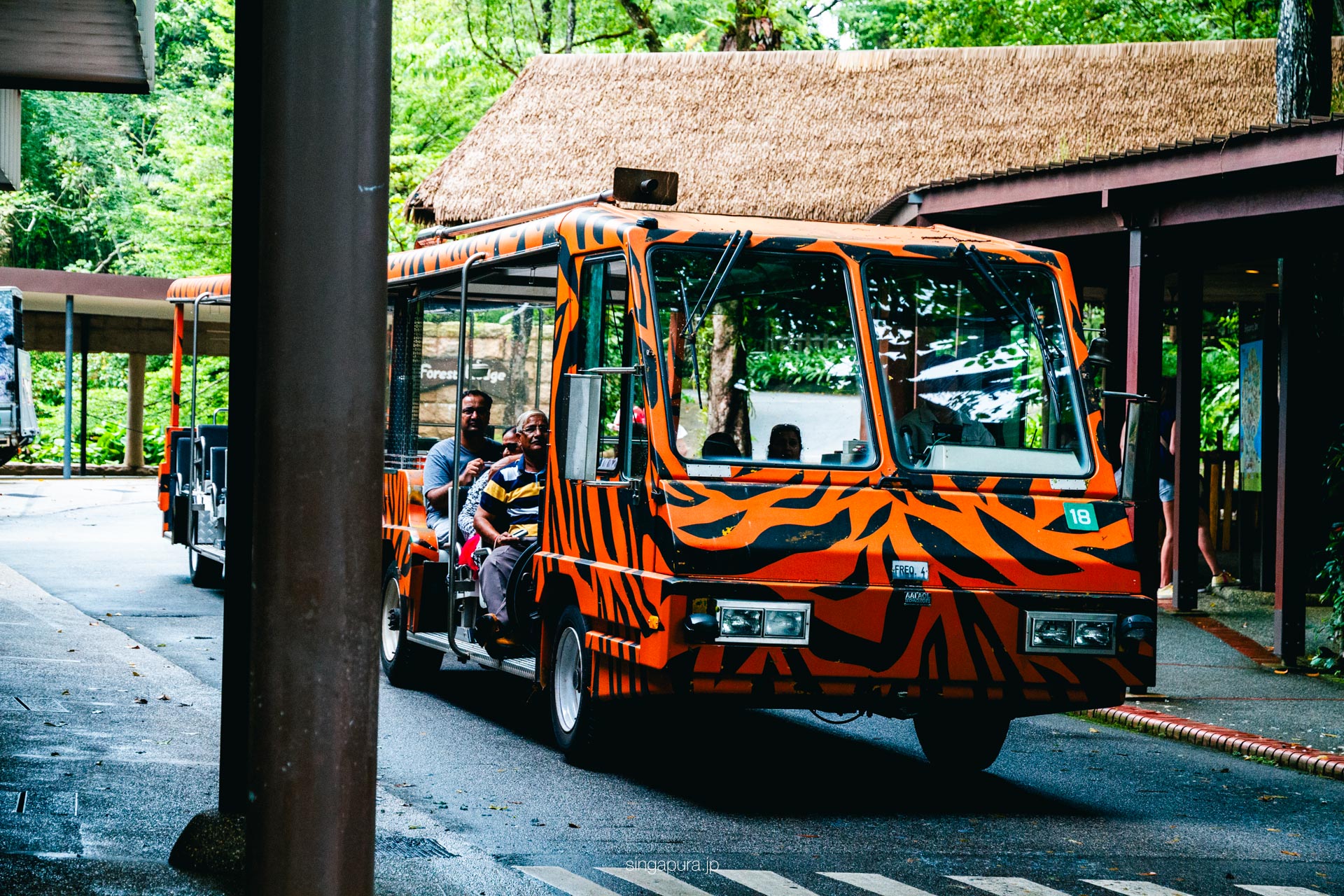 シンガポール動物園 Singapore Zoo 画像6
