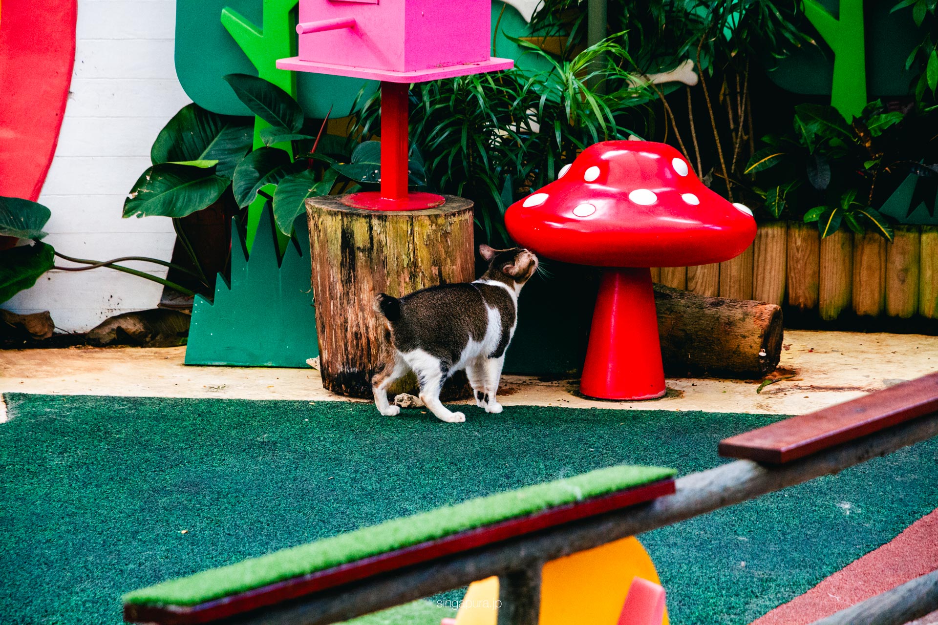 シンガポール動物園 Singapore Zoo 画像22