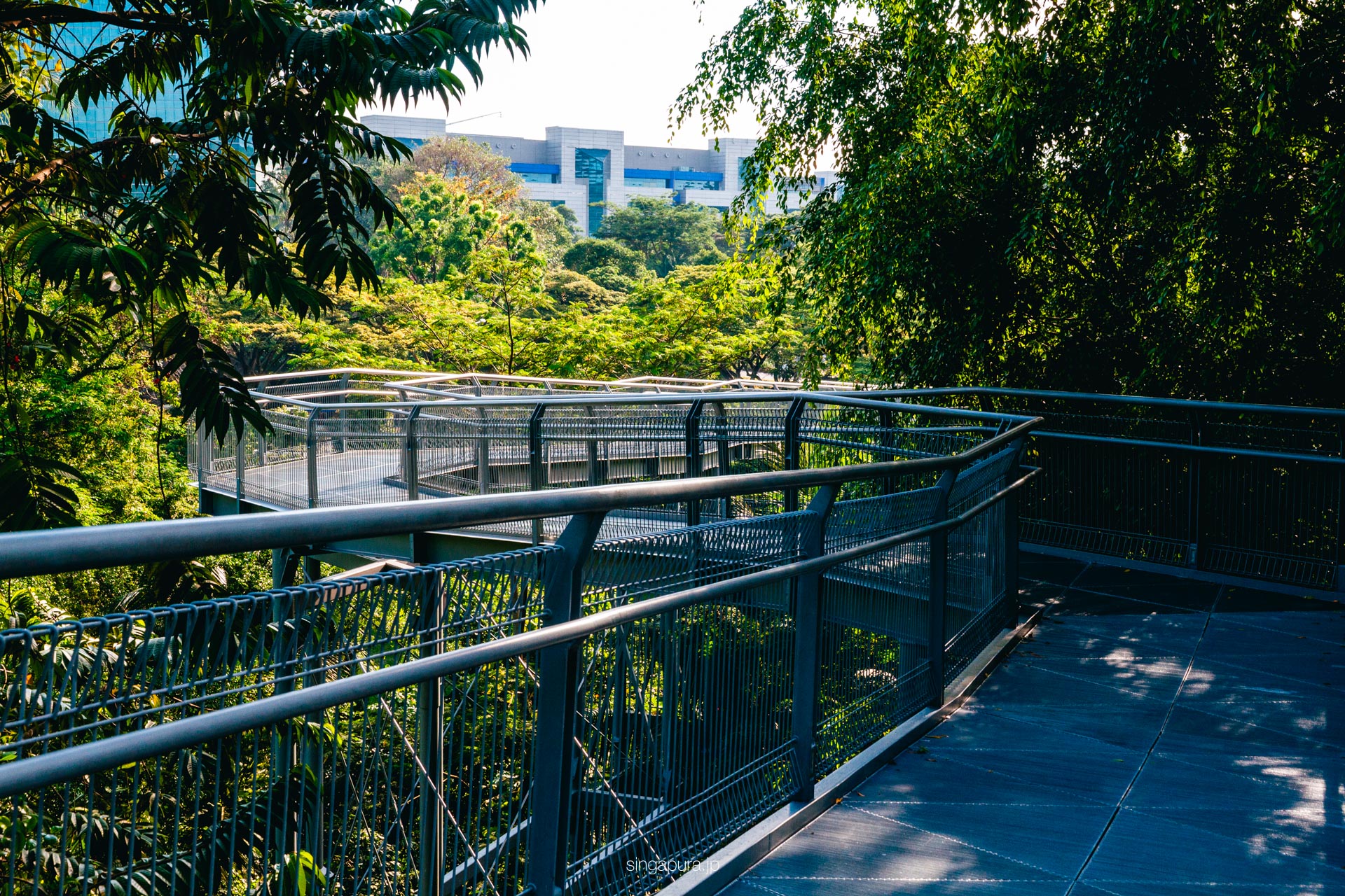 サザン・リッジス Southern Ridges 画像1