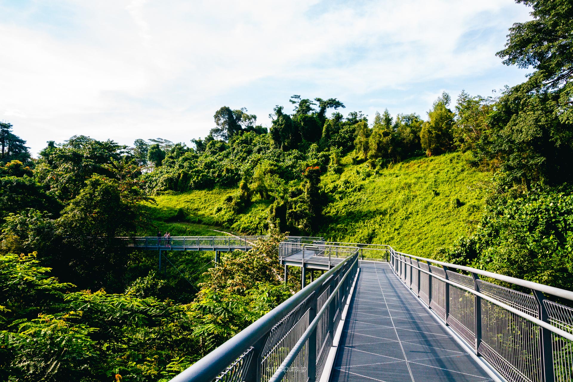 サザン・リッジス Southern Ridges 画像3