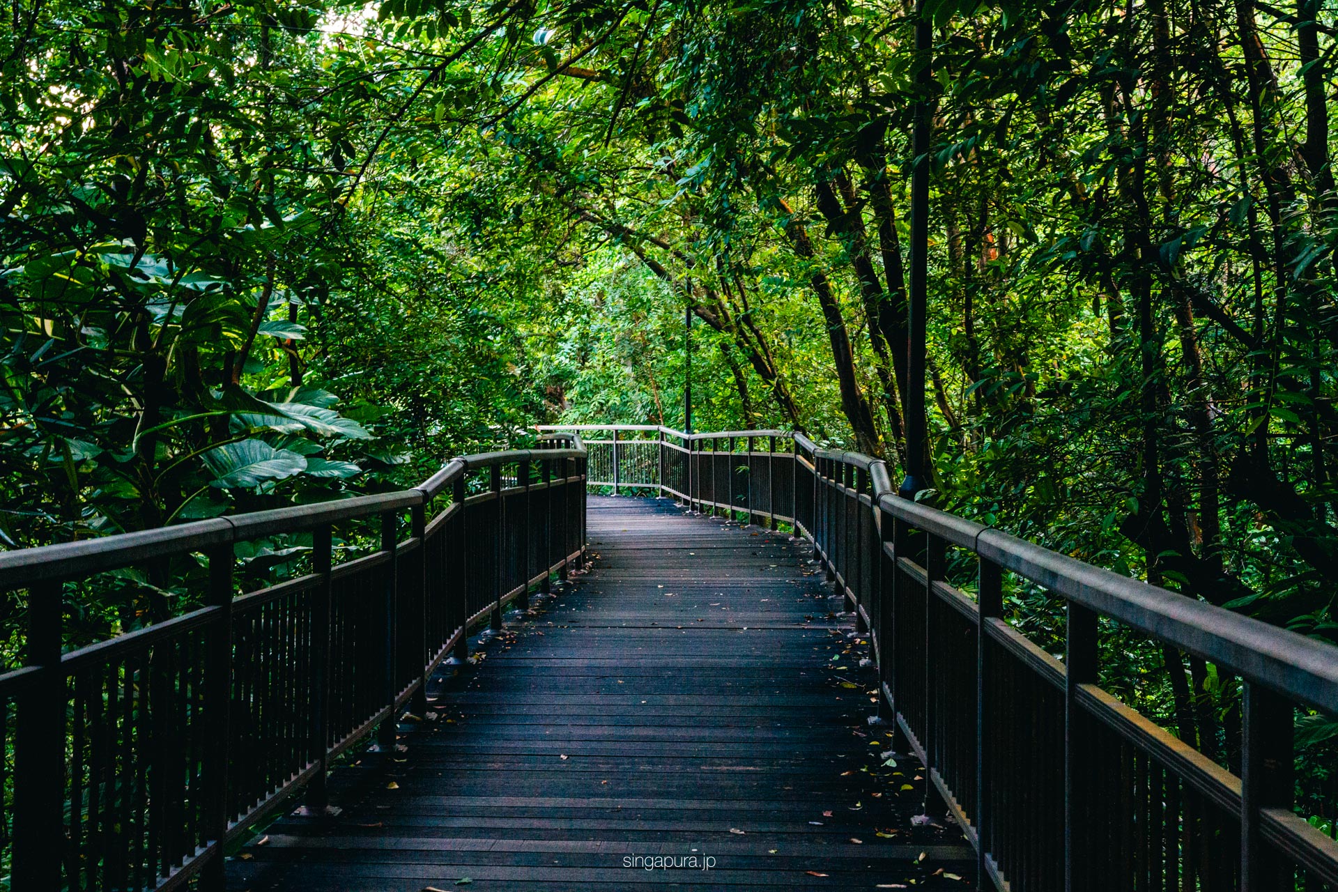 サザン・リッジス Southern Ridges 画像5