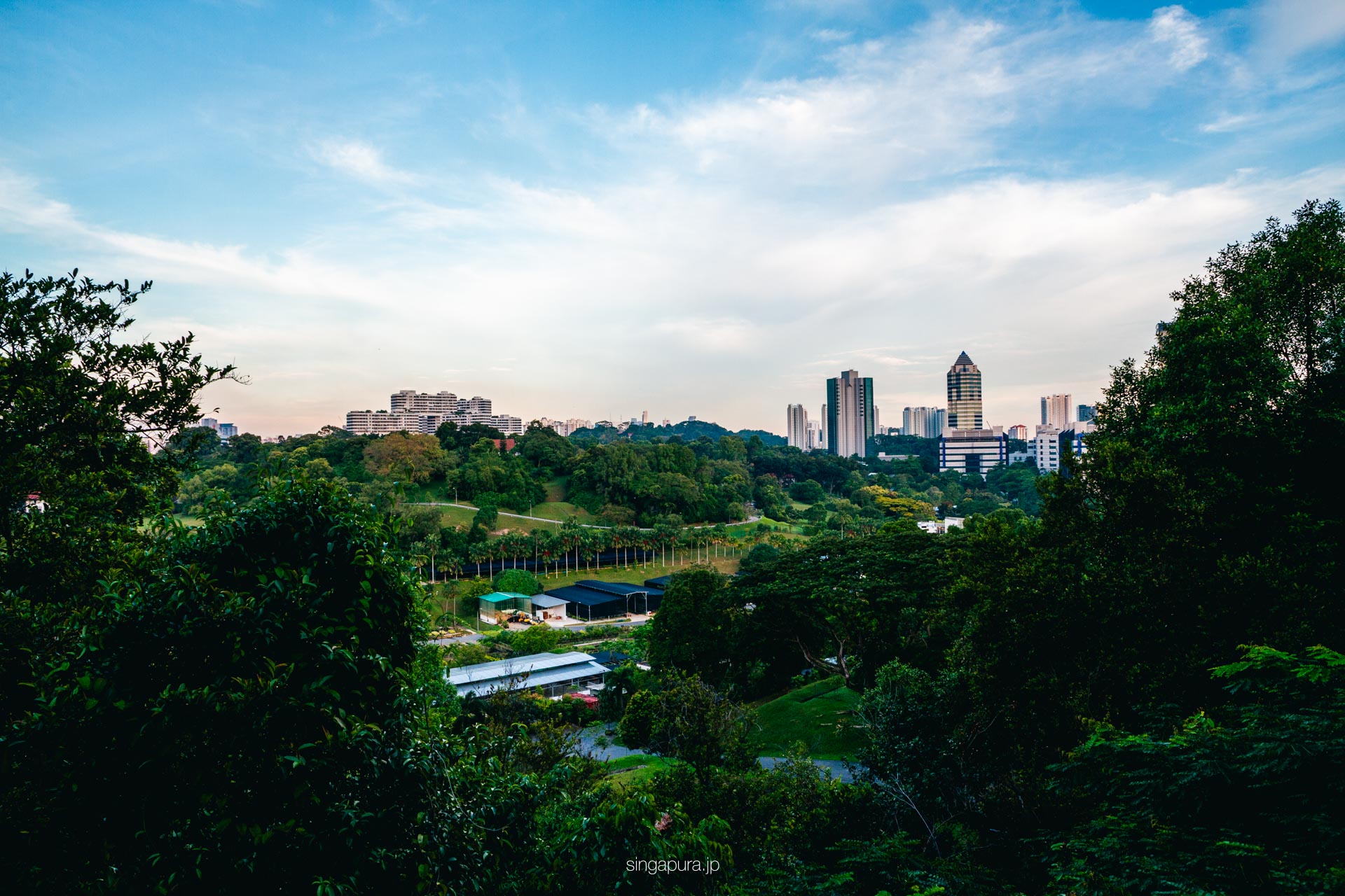 サザン・リッジス Southern Ridges 画像6