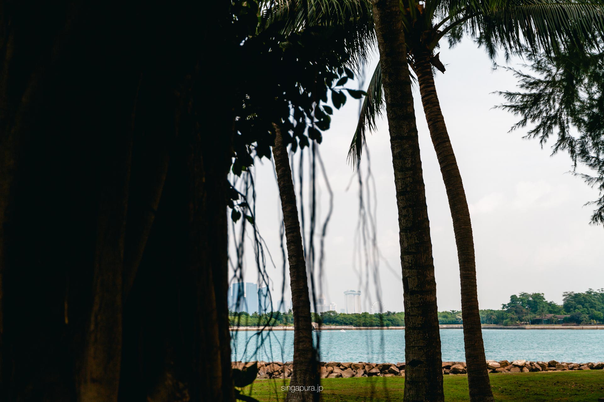 セントジョンズ島 St John Island 画像3