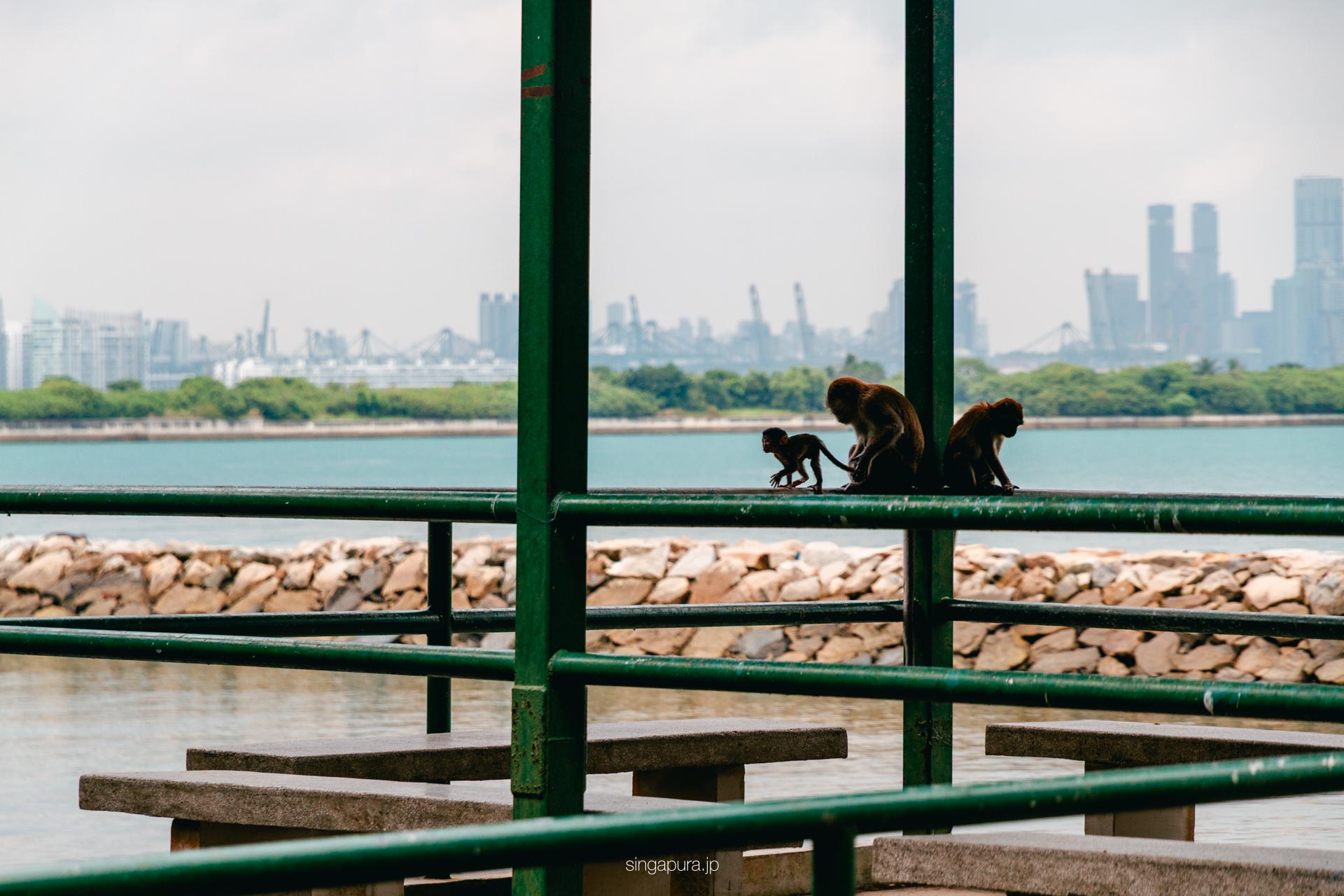 セントジョンズ島 St John Island 画像7