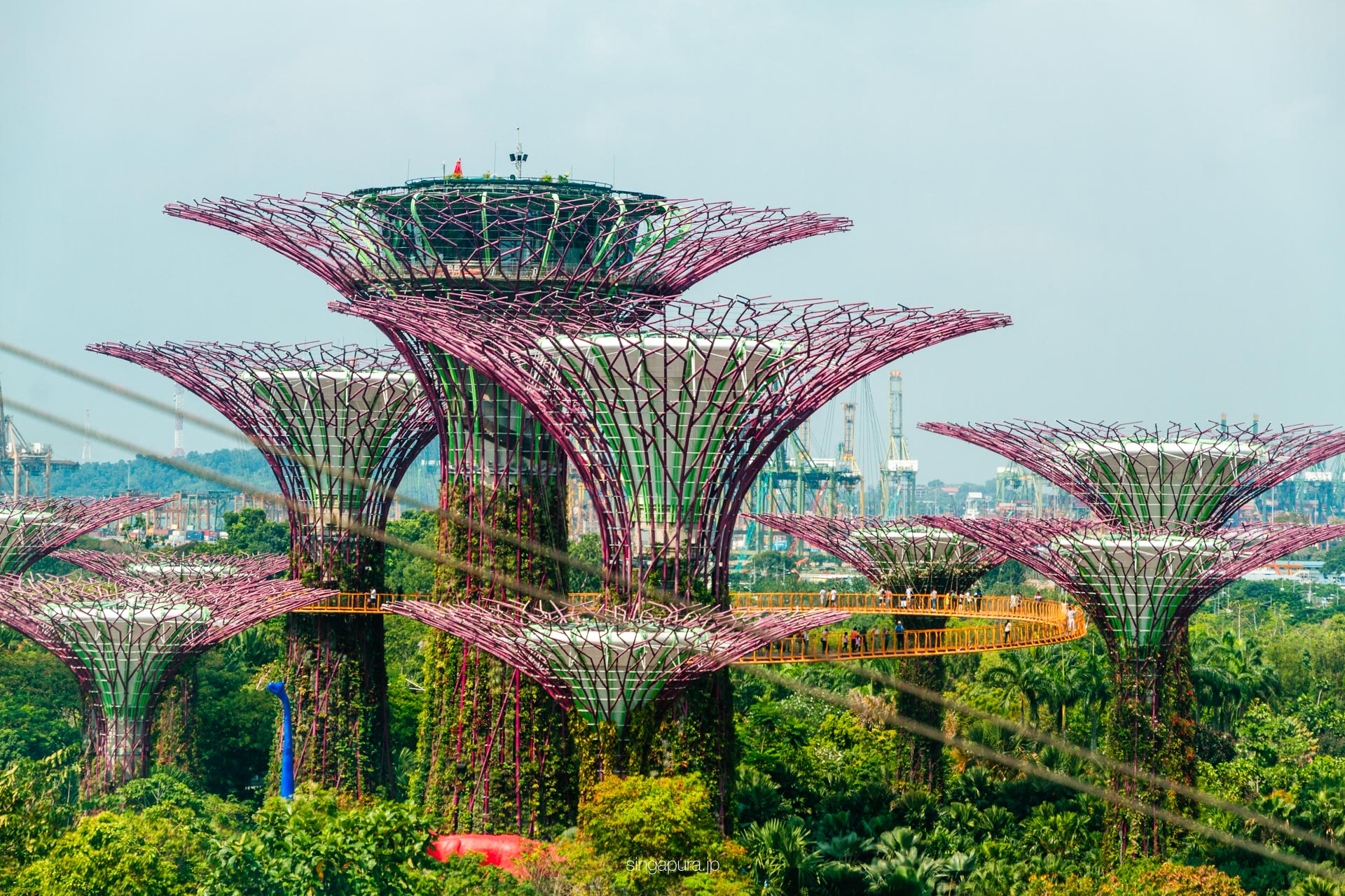 スーパーツリー・グローブ Supertree Grove 画像1