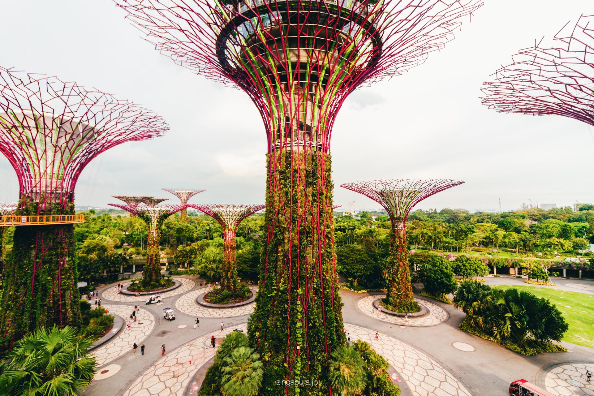 スーパーツリー・グローブ Supertree Grove 画像2