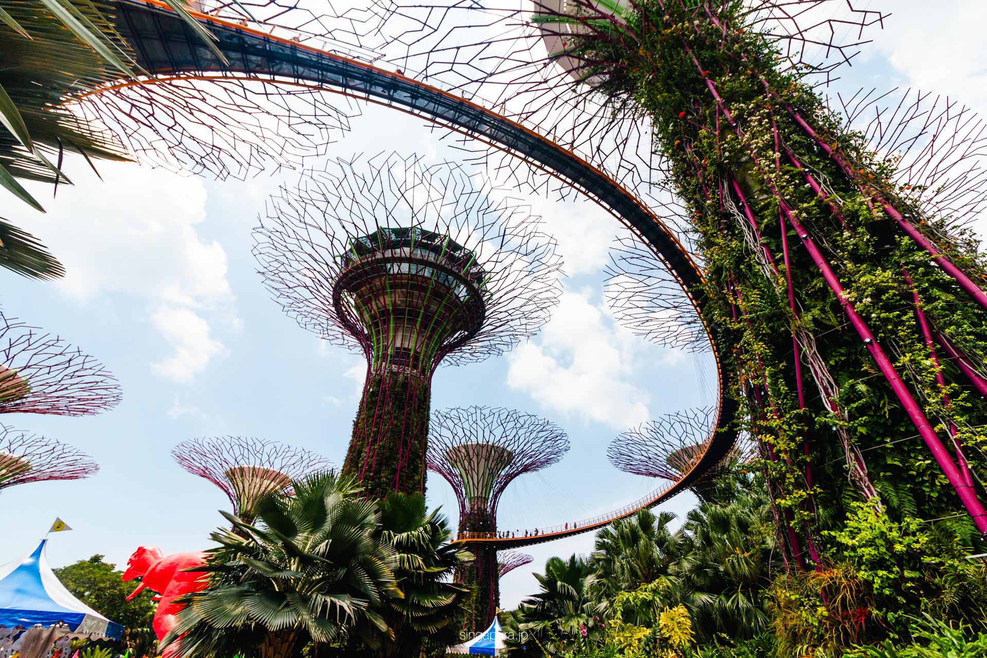 スーパーツリー・グローブ Supertree Grove 画像3