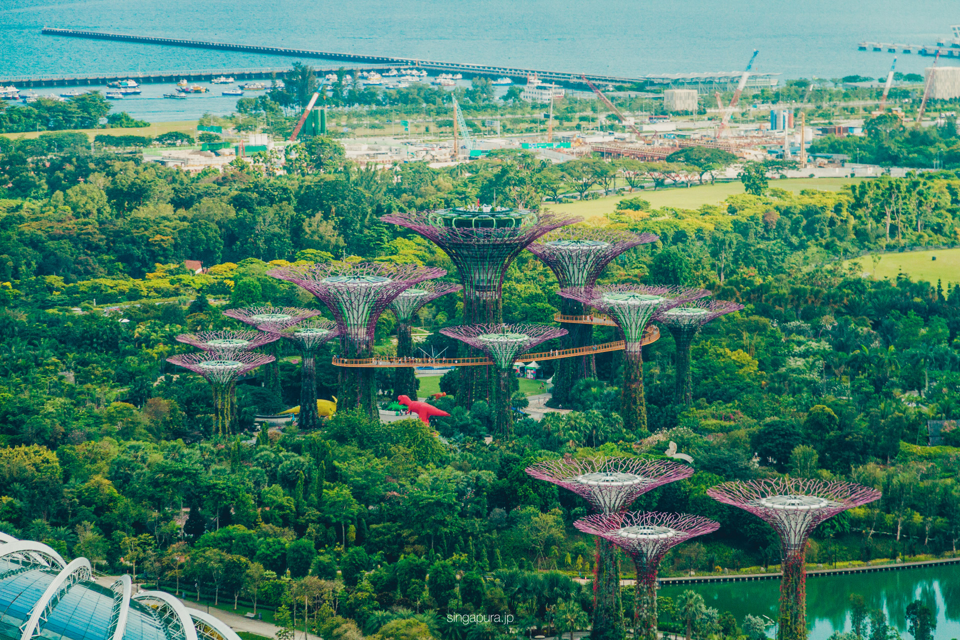 スーパーツリー・グローブ Supertree Grove 画像4