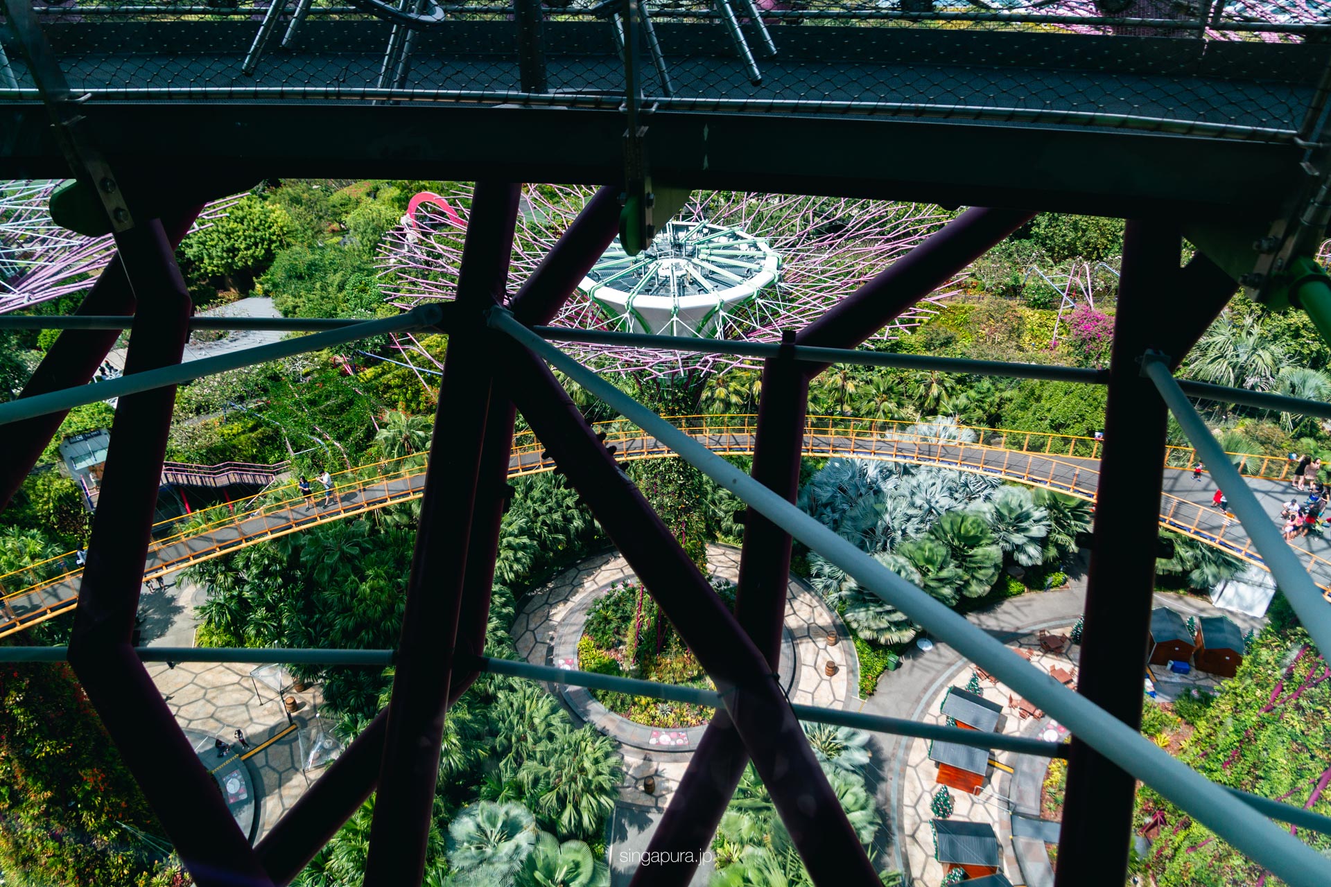 スーパーツリー展望台 Supertree Observatory 画像2