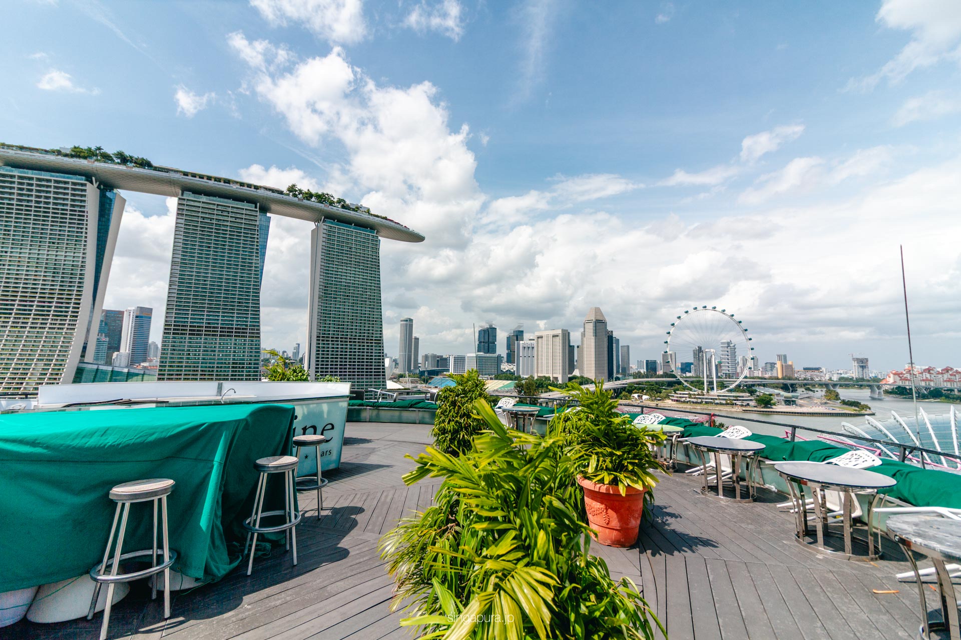 スーパーツリー展望台 Supertree Observatory 画像3