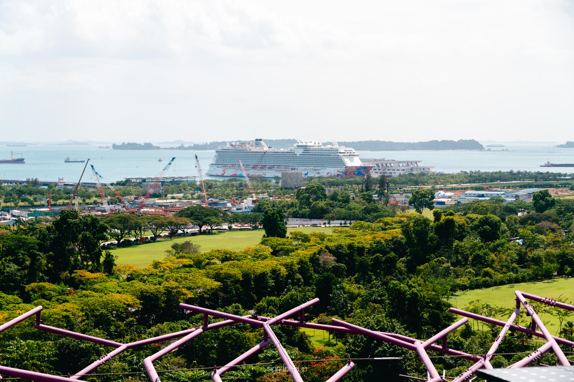 スーパーツリー展望台 Supertree Observatory 画像4