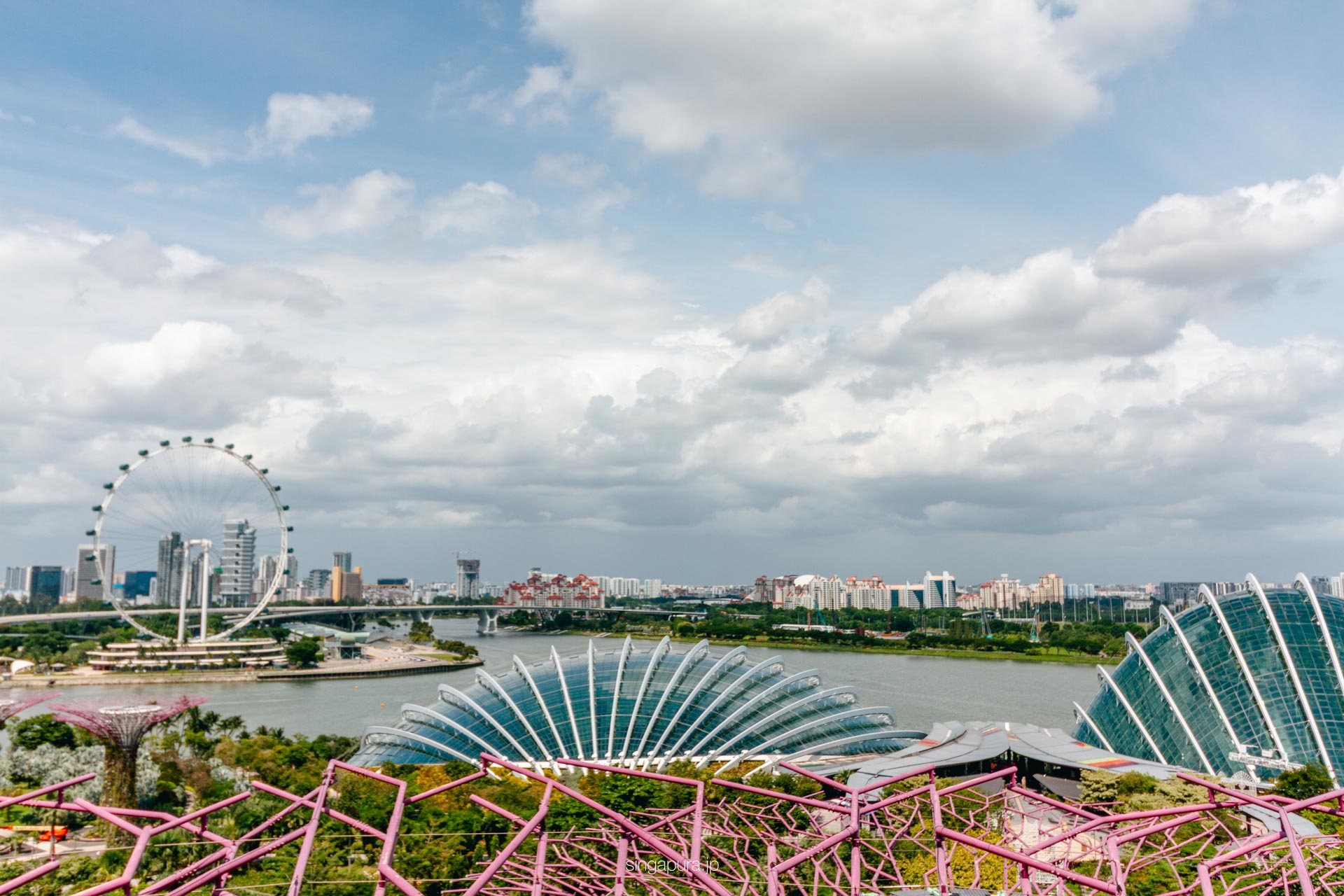 スーパーツリー展望台 Supertree Observatory 画像9