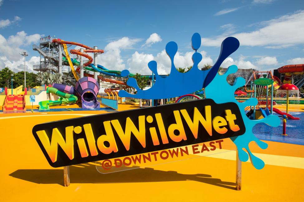 ワイルド・ワイルド・ウェット Wild Wild Wet 画像1