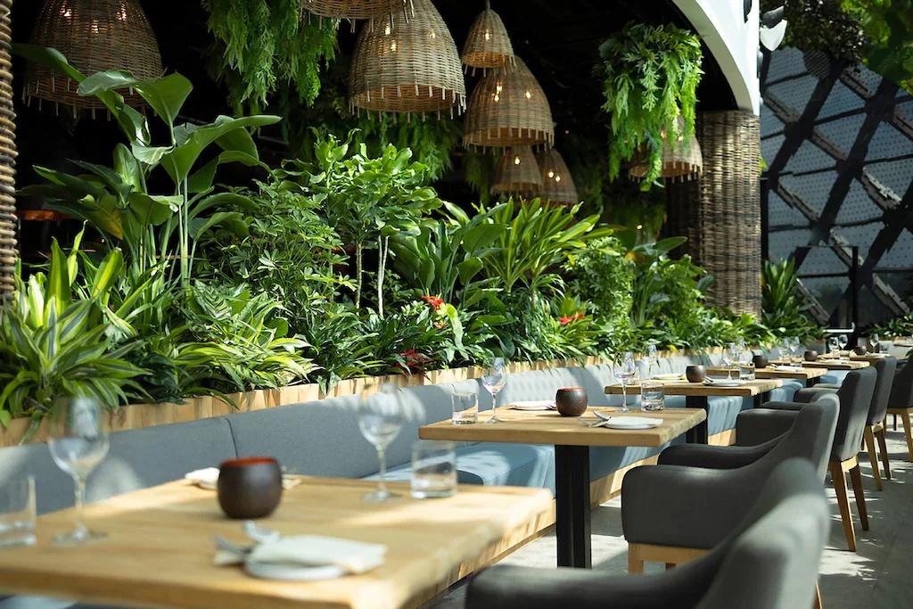 デュシタニ ラグーナ シンガポール Dusit Thani Laguna Singapore 画像22
