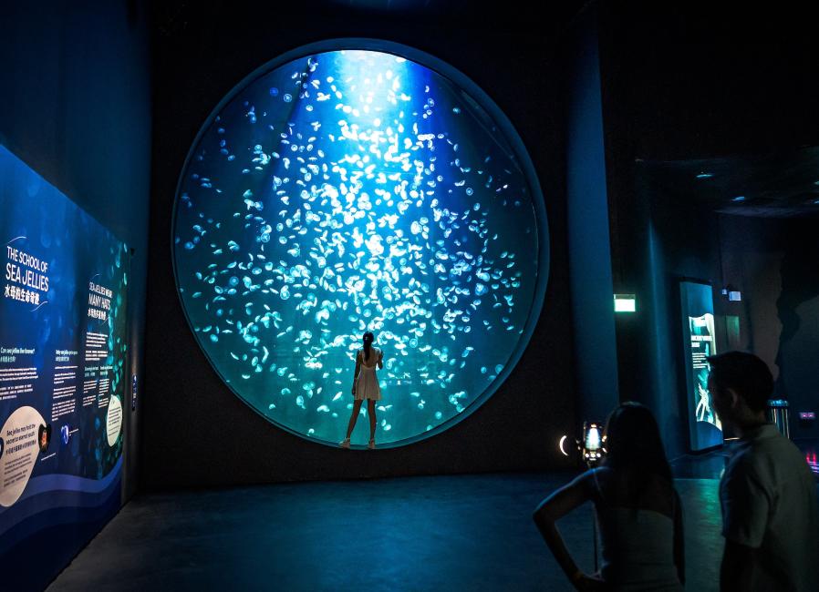 シンガポール・オーシャナリウム